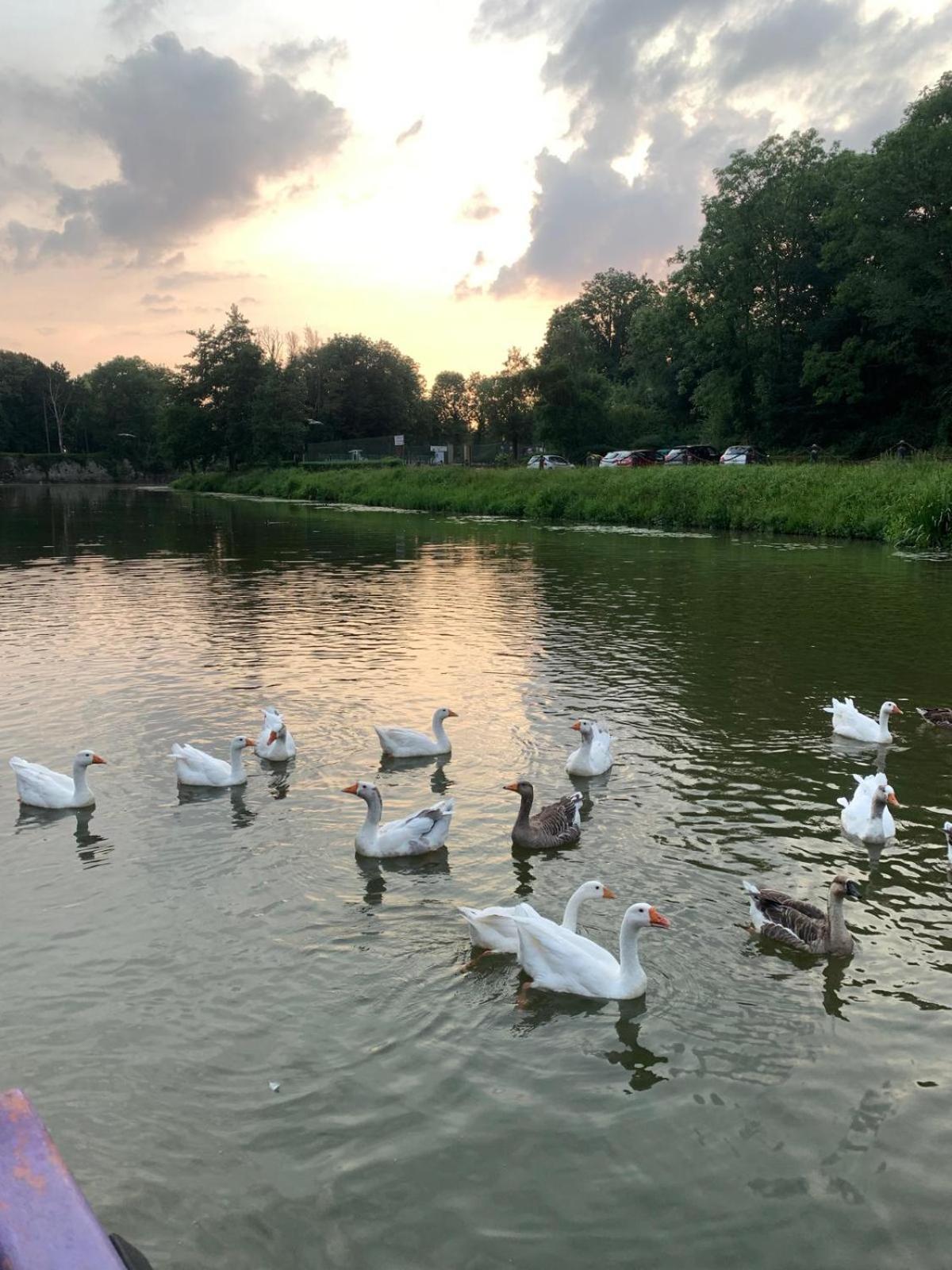 Nuit Insolite A Bord D'Une Peniche, 6 Personnes Bergues Buitenkant foto